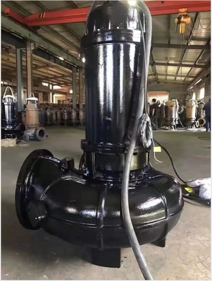 防汛工作要做好，威滬水泵不能少